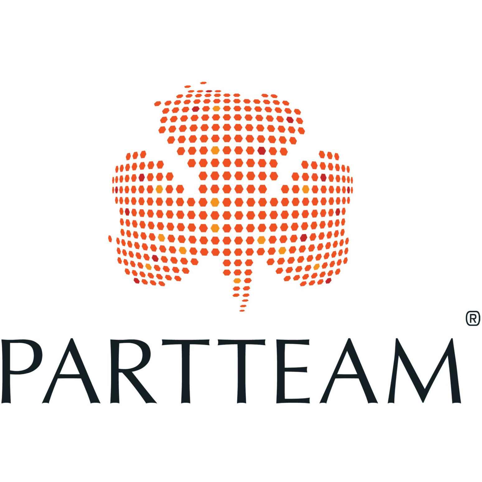 PARTTEAM GROUP & OEMKIOSKS Logo