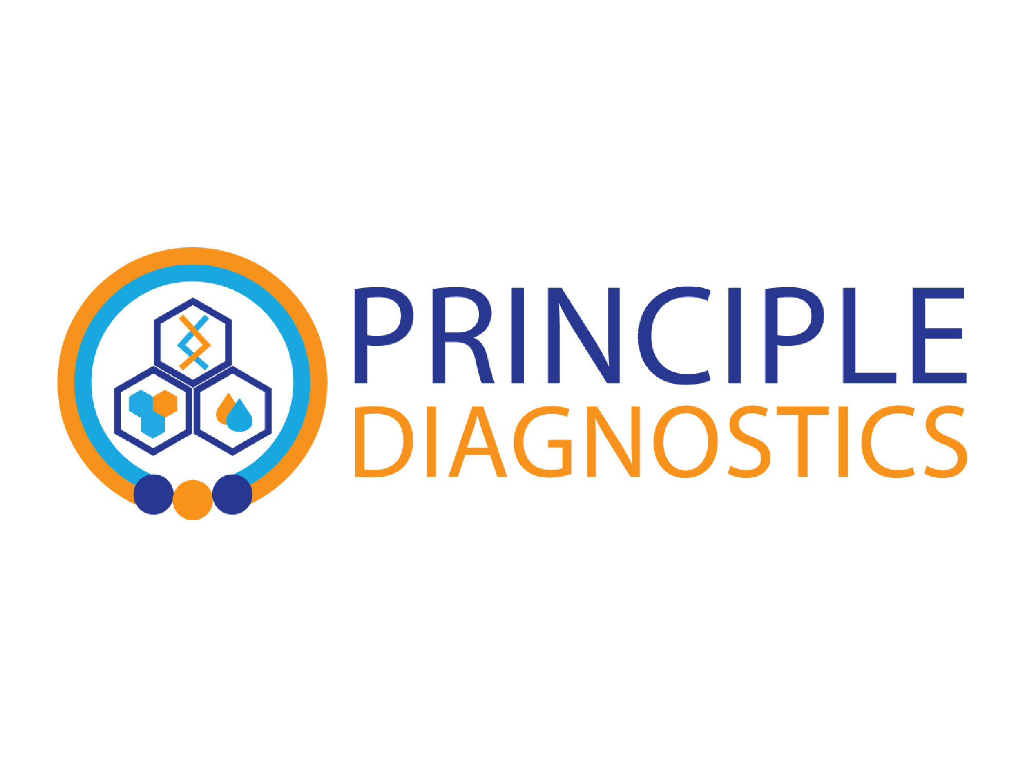 Principle Diagnostics Logo