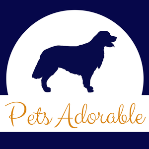 Pets Adorable Logo