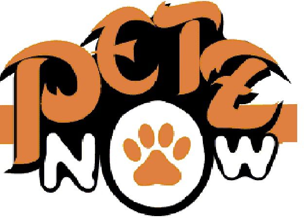 Petz Now - Online Pet Shop Logo