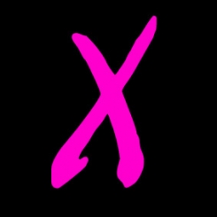 Xpose' Wedding Photography Logo