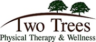 physicaltherapyTT Logo