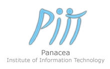 piitindia Logo