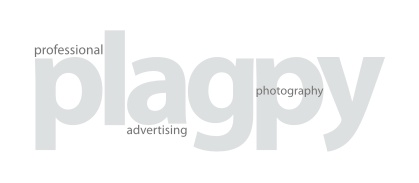 plagpy Logo