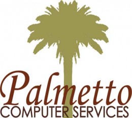 plmcomputerservices Logo