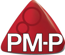 pmpartners-p3mgroup Logo