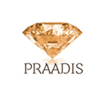 praadis Logo