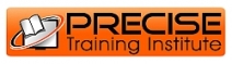 Precise Training Institute Logo