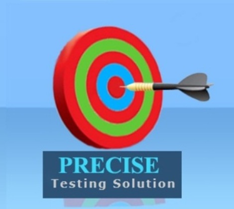 precisetestings Logo