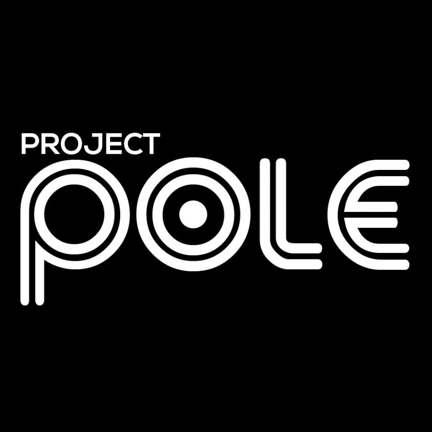 projectpole Logo