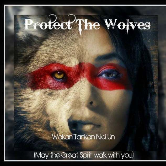 Protect The Wolves Sanctuary Logo