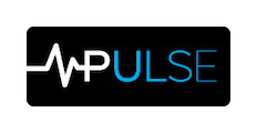pulsedigitalgroup Logo