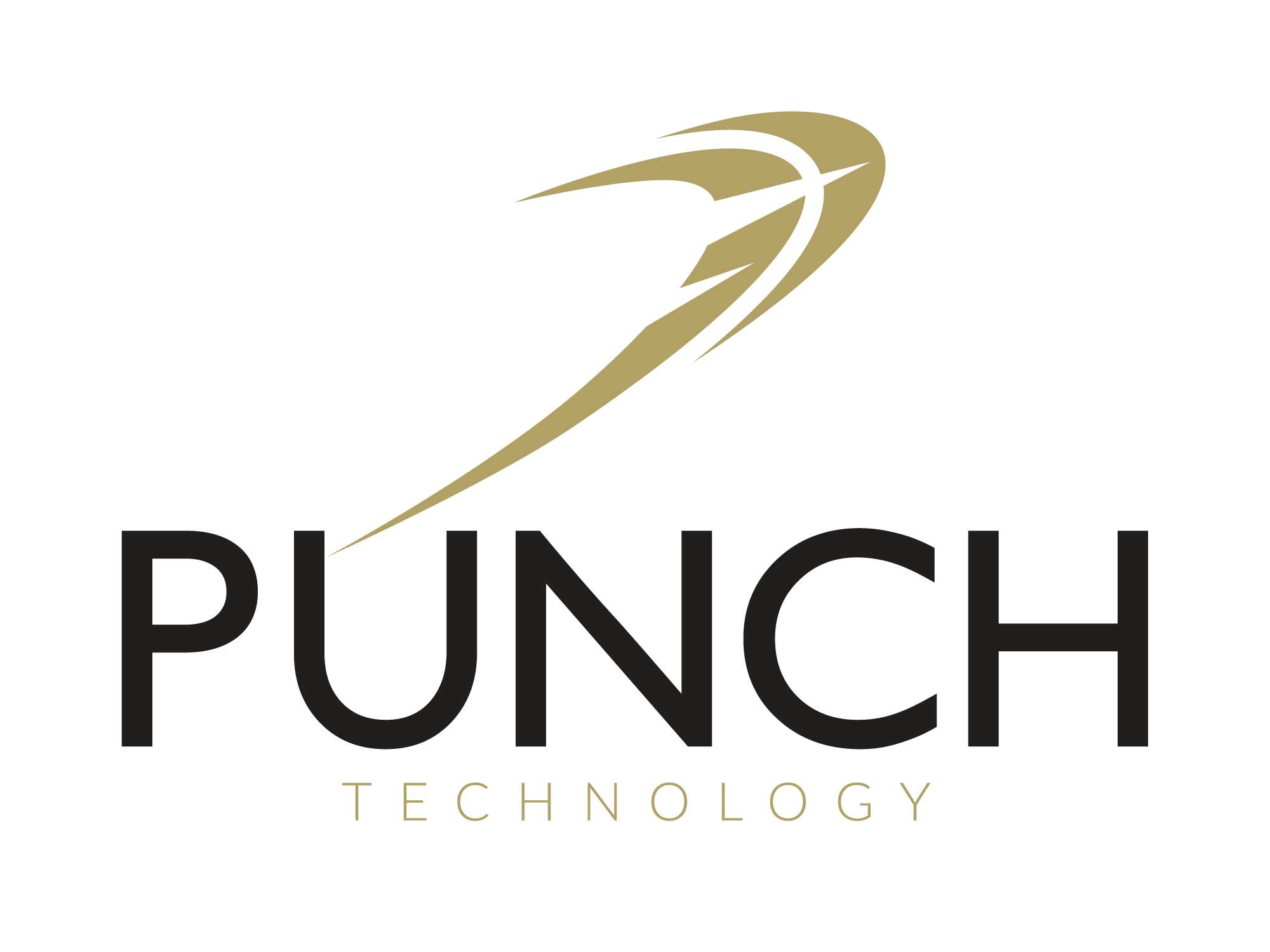 punchtechnology Logo