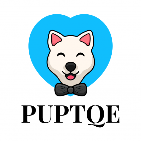 Puptqe USA Corp Logo