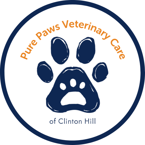 purepawsvetclinton Logo