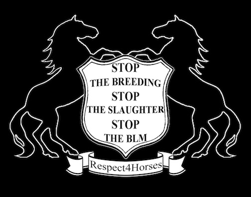 respect4horses Logo