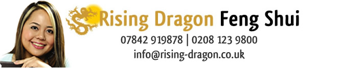 risingdragonfengshui Logo