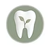 Rooted Dental by Dr. Michael Schecter Logo