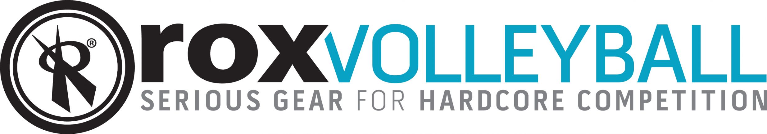 roxvolleyball-2008 Logo