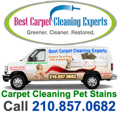 sacarpetcleaning Logo