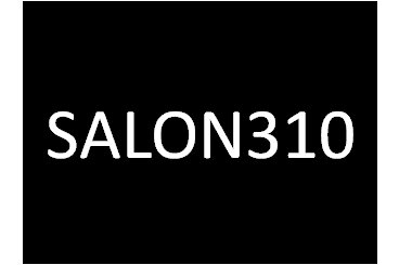 The Salon Group, LLC. dba SALON310 Logo