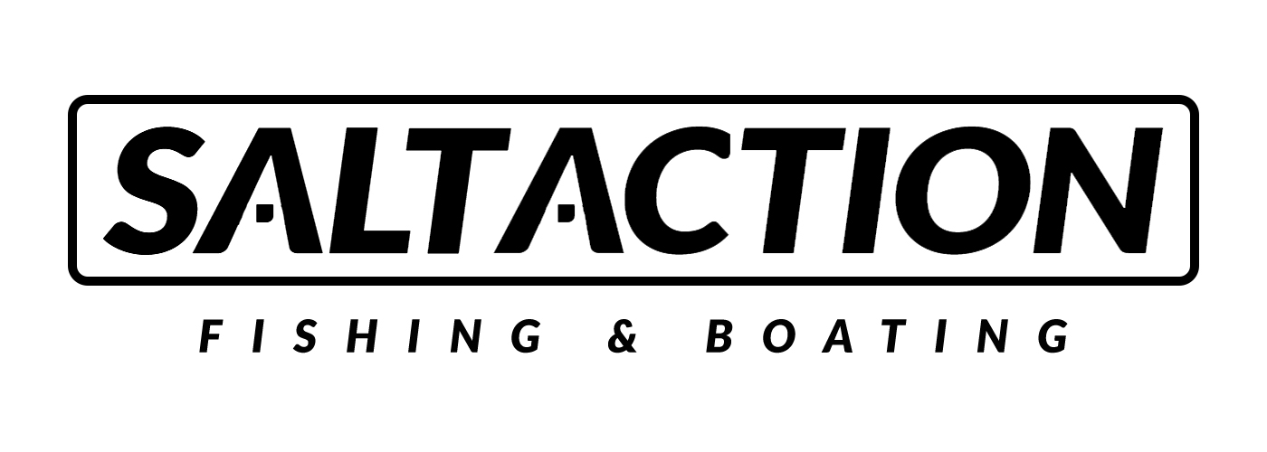 saltaction Logo