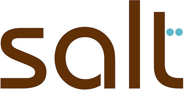 SALT Spas LLC Logo