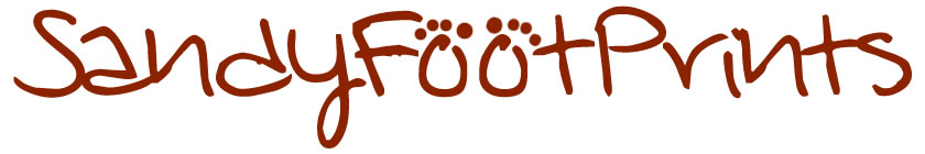 sandyfootprints Logo
