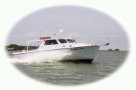 sawyercharters Logo