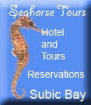 Seahorse Tours & Souvenirs Logo