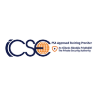 International Centre For Security Excellence Logo