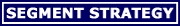 segmentstrategy Logo