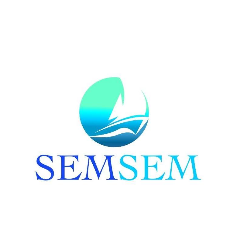 semseminternational Logo
