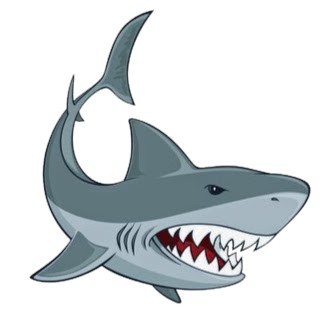All about canonicalisation and SEO -- SEO Shark - PRLog All about canonicalisation and SEO - 웹