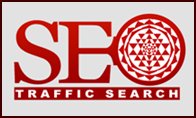 seo traffic search Logo