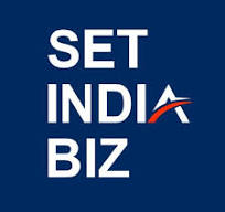 Setindiabiz Logo