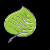 Silver Lining Herbs Logo