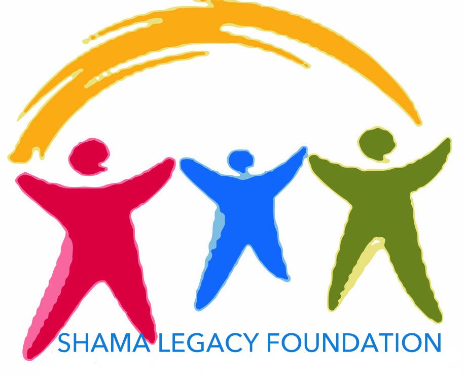 slfghana Logo