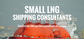 Small LNG Logo