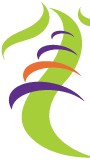 Spinal Traction Clinic Logo