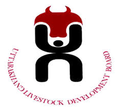 Square Brand Communication Group Logo