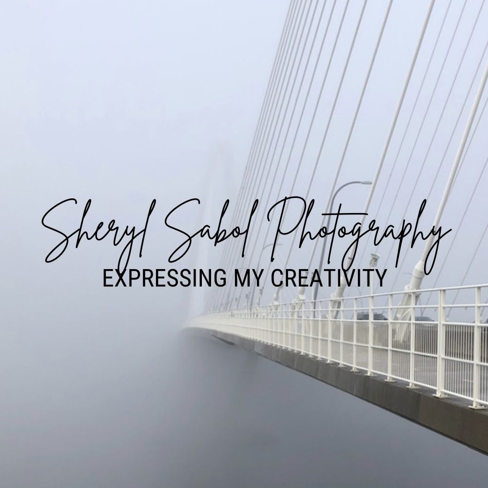 Sheryl Sabol Photography Logo