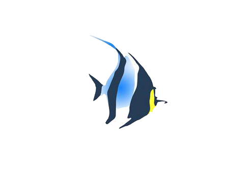 Still Water Aquatics Logo