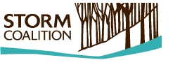 stormcoalition Logo
