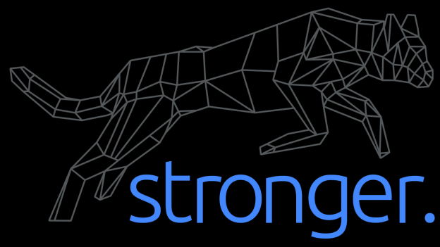 stronger Logo