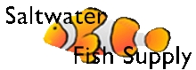 swfishsupply Logo