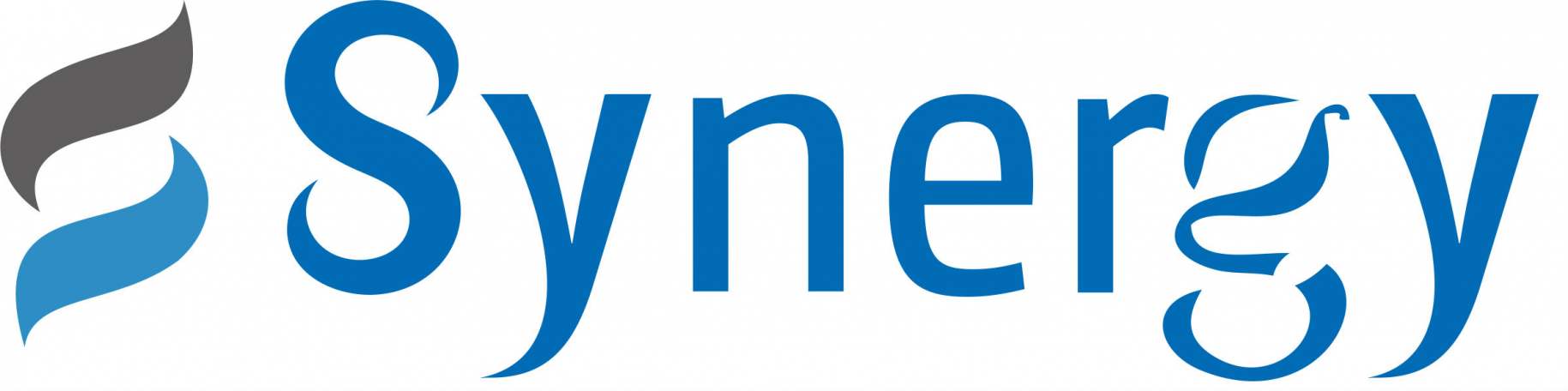 SYNERGY GLOBAL SYSTEMS Logo