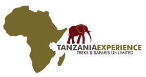 Tanzania Experience Logo