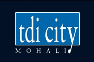 tdicitymohali Logo