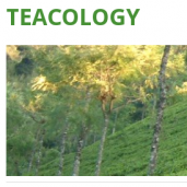 teacology Logo
